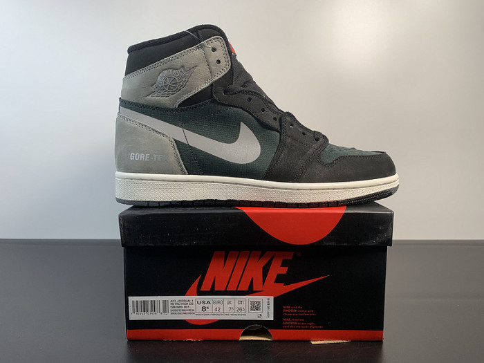 Air Jordan 1 High Element Gore-Tex 