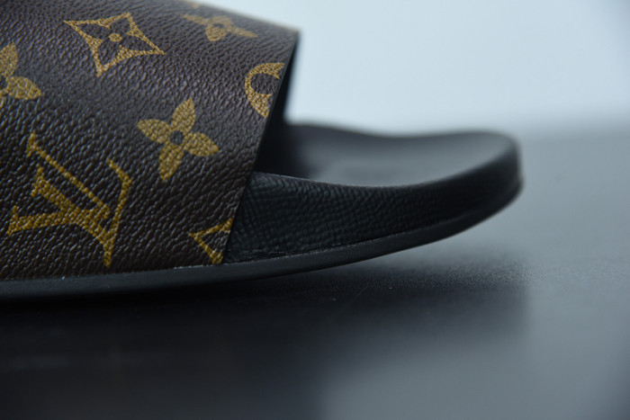 LUSV SLIDE