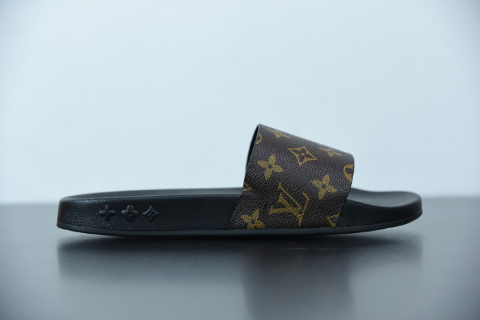 LUSV SLIDE
